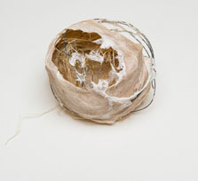 From the Protection and Escape Series